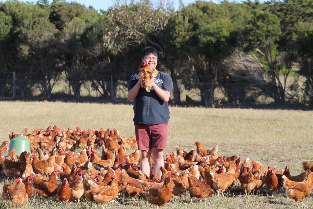 Bimbadeen Phillip Island Farm Retreats Ventnor エクステリア 写真